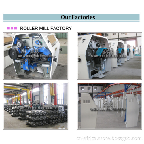 Complete Wheat Flour Milling Plant